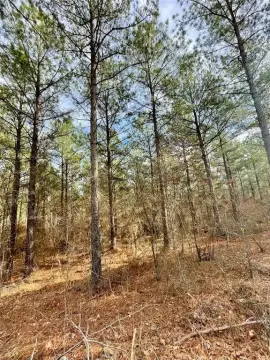 Residential Land Lot in Timber Creek