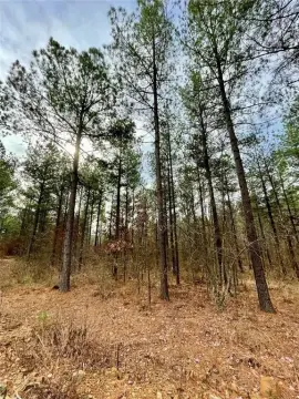 Residential Recreation Land Lot