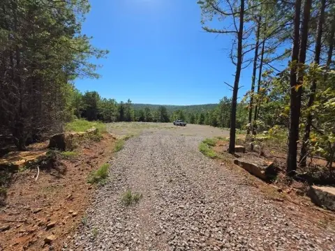 Wooded Recreational Land