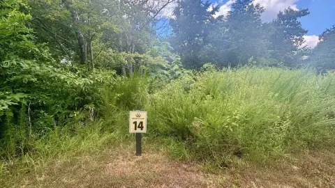 Ellijay Vacant Lot with Views