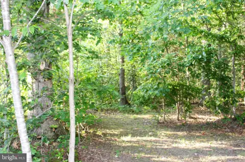 Wooded Residential Development Lot