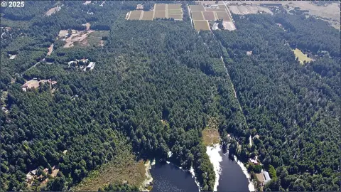 55+ Acres Near Laurel Lake