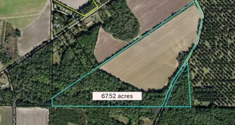 67.52 Acres Between Nashville, GA