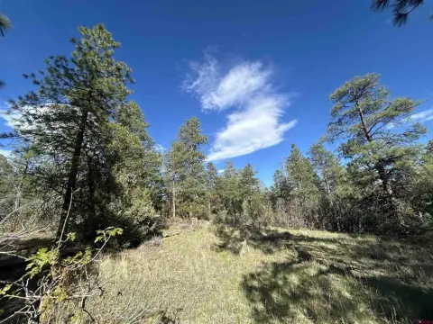 Pagosa Springs Wooded Land Parcel