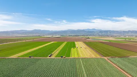 King City Farmland Opportunity