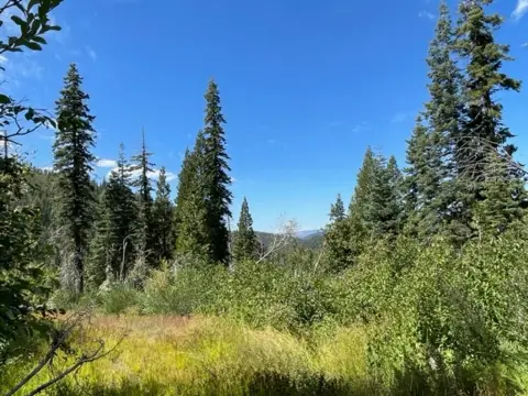 304 Acres Mountain Property