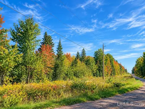 Wooded Recreational Land