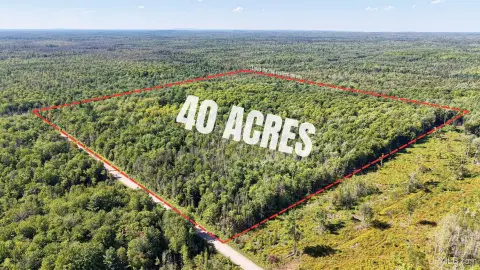 Wooded Hunting Land with Camp