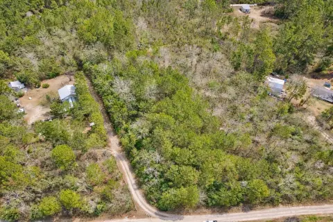 Wooded Residential Buildable Lot