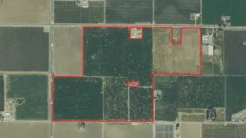 El Nido Ranch: Almond Orchards