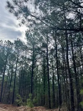 Residential Land Lot in Subdivision