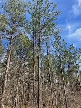 Residential Land Lot in Timber Creek