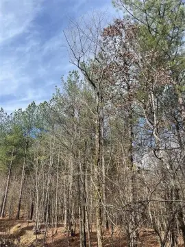 Residential Land Lot for Retreat