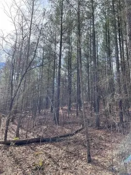 Residential Recreational Land Lot