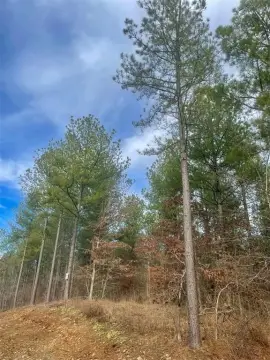 Residential Recreational Land Lot
