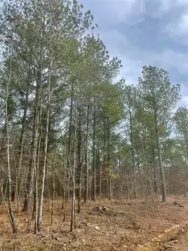 Residential Land Lot in Timber Creek