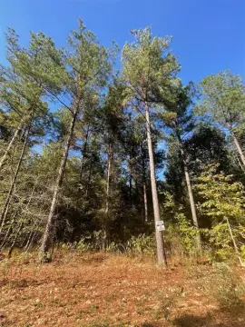 Residential Land Lot in Timber Creek