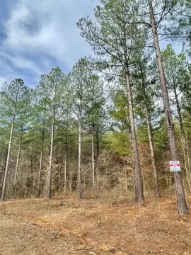 Residential Land Lot in Phase XI