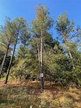 Residential Land Lot for Retreat