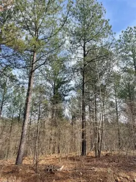 Residential Land Lot Near Outdoor Amenities