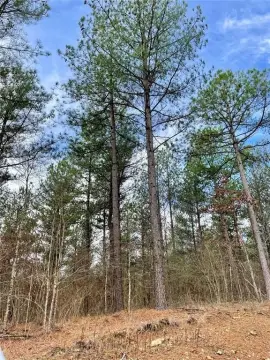 Residential Recreational Land Lot