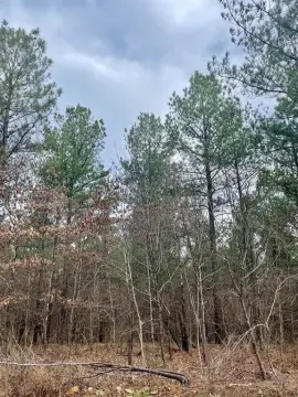 Residential Land Lot in Timber Creek Trails