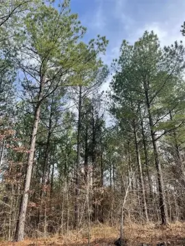 Residential Development Lot