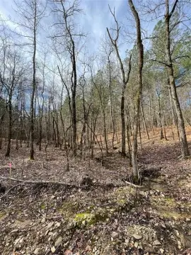 Residential Land Lot with Wooded Setting