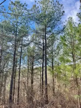 Residential Development Lot