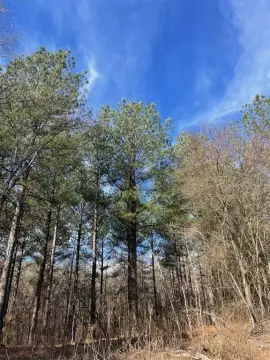 Residential Lot in Timber Creek Trails
