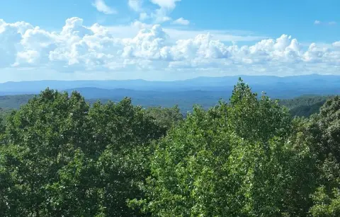 Ellijay Vacant Lot with Views