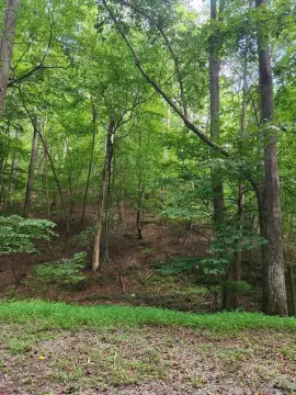 Ellijay Vacant Lot Ready to Build