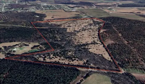 Calhoun Falls Acreage with Road Frontage