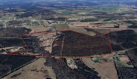 Calhoun Falls Acreage: Pasture & Timber