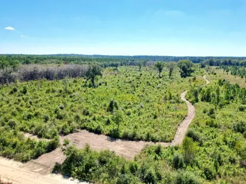 70 Acres Near Whigham, Georgia