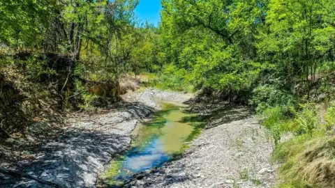 8.79 Acres of Unimproved Land