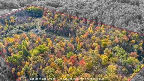 Cameron, WI Wooded Land