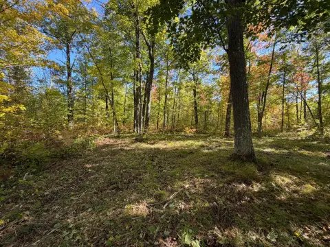 Hunting Land