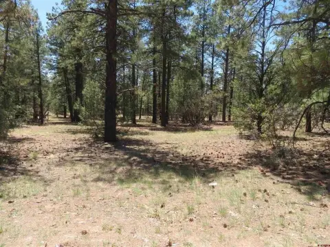 Parklike Acreage in Pagosa Springs