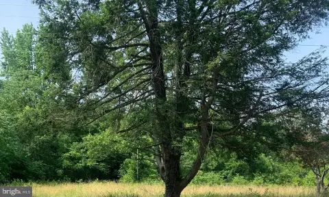 7 Acres of Rural Land