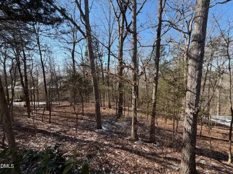 Wooded Lot in Chapel Hill