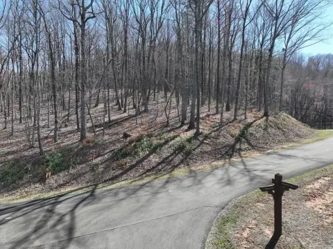 Wooded Lot with Road Frontage