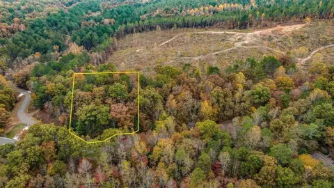 Ellijay, GA Vacant Lot