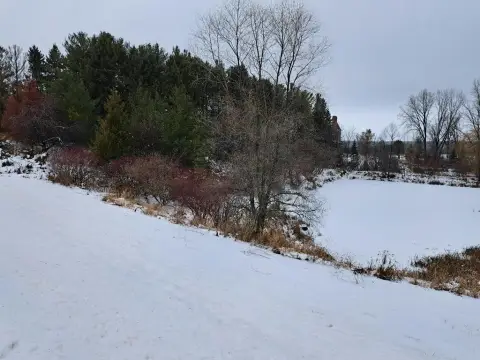 Wooded Lot Near Golf Course