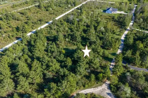 Partially Wooded Buildable Parcel
