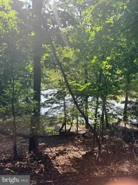 Waterfront Land Lot