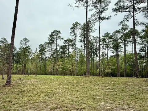 Poplarville Vacant Land Opportunity