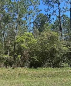 Wooded Lot Near Bay Beaches