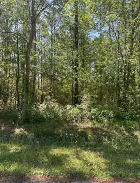Wooded Lot Near Bay Beaches