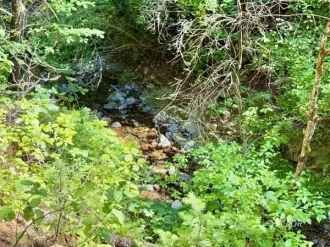 Weaverville Land with Abundant Water